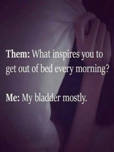 2076618079_morningbladder.thumb.jpg.42fa4f03b559b49ac6805b0ba26006af.jpg