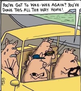 294322635_weewee.thumb.jpg.ceb59514cd847c5fefa8b30ad45d3bd9.jpg