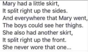 722745629_maryhadalittleskirt.thumb.jpg.96d03d90b88edbe09b1123111afa26bc.jpg