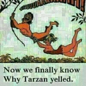 tarzan.thumb.jpg.261e94623457bb00dd2e3a95cafcc6dd.jpg