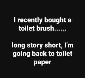 1981825688_toiletbrush.thumb.jpg.fbcb53c248ba91faacbb1d8ac5ab110a.jpg