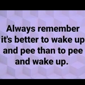 836560358_wakeupandpee.thumb.jpg.b1aa5ec087b864433c6f7d878e5aadcd.jpg