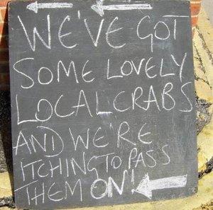 crabs.thumb.jpg.97b9340eee26c2b0575a6bd4e7dd065c.jpg