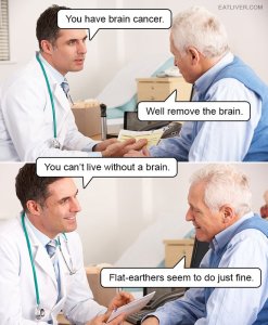 no-brain.jpg