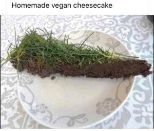 2069535231_vegancheesecake.thumb.jpg.9bcfd480a45c08be3a041209585d390e.jpg