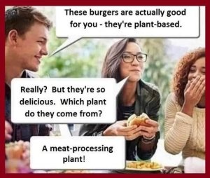 323791561_plantbased.thumb.jpg.3384e8d664dbe87dda92a79ac5cbf3a9.jpg