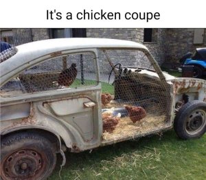 383543237_chickencoupe.thumb.jpg.e0b69bd34a3a7aa0b99e3d29865af9f9.jpg