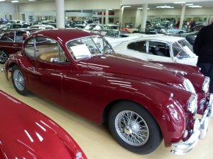 Jaguar 02.JPG