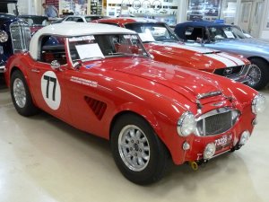 Austin Healey Bathurst 01.JPG