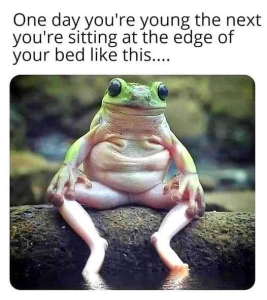 A FROGGIEc759(1).png