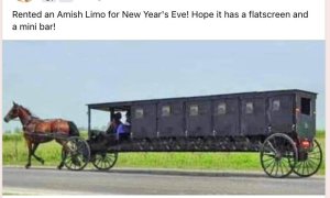 1978042433_Amishlimo.thumb.jpg.a6b48241c2781f7386f05083a2d1ab59.jpg
