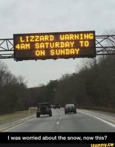 1745438968_lizzardwarning.thumb.jpg.f169585dea28cc9d05445de5b4a1d0fa.jpg