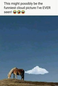2035209613_horsecloud.thumb.jpg.f117ef6624baa34316e63c1e6fa24942.jpg