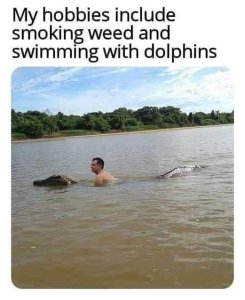 912895295_swimwithdolphins.thumb.jpg.c9b0159631e453c9685ba43cf508429d.jpg