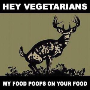 1353327160_heyvegans.thumb.jpg.f44afab2cdcfb4f007204bb9039f7779.jpg