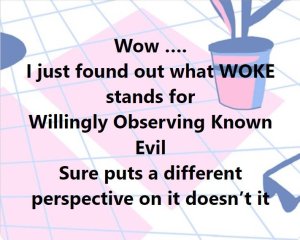 166037193_WOKEmeaning.thumb.jpg.33ad66ea8d71778205e81e92c3e4ba80.jpg