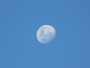 481402556_Moon01.thumb.JPG.168903ba635a01b31442dea27a6e49c9.JPG