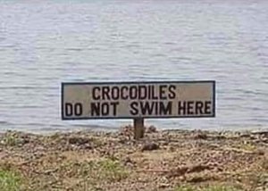safetoswim.thumb.jpg.a807f47ad9c8610d656550c4226c7e53.jpg