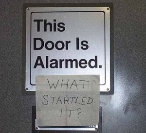 SIGN - DOOR ALARMED.JPG