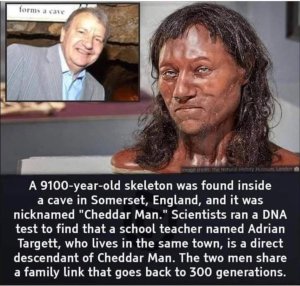 image.jpeg