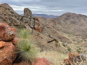 IMG_3375.JPG
