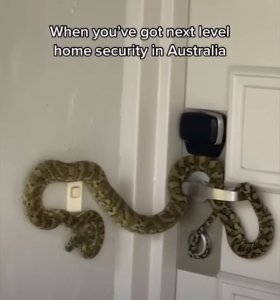 SECURITY.JPG