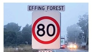 effingforest.thumb.jpg.9cbfe2cc8ceb4683527040bc6e10c7af.jpg