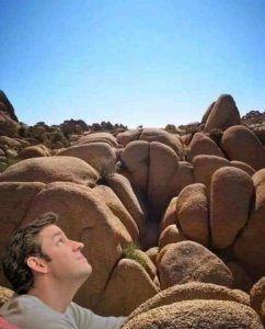 sexy rocks.jpg