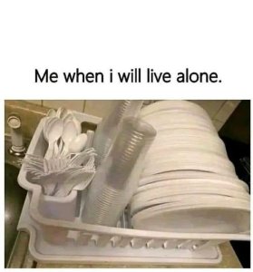 livealone.thumb.jpg.c45aa04a0c9adbbe31e712da26aa5985.jpg