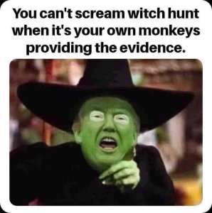 witchhunt.thumb.jpg.45b2ae5e2304e2c5af91aaeb073ecba9.jpg