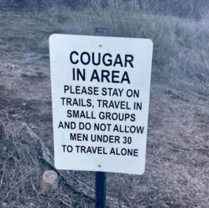 cougararea.thumb.jpg.6471a1f83fa9caf544a11654f5d438db.jpg