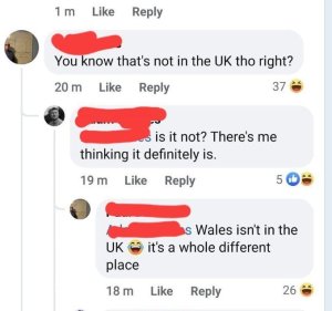 walesnotUK.thumb.jpg.5a9c65a073f8f647b29ff4c109ef8774.jpg