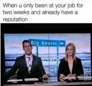 Bigbeaver.thumb.jpg.1aeec74f7c002a7341b100ee7e3924db.jpg