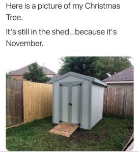 NovemberChristmastree.thumb.jpg.381316031032d71a23ddeb0ce4473905.jpg