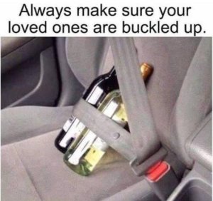 buckledup.thumb.jpg.aa64c029440a5189c3254affb5fd44c5.jpg
