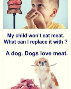 dogslovemeat.thumb.jpg.f4e2f709358ef0067a247cb6a735f5a7.jpg