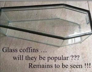 glasscoffin.thumb.jpg.191fb91f070986f5c557599f955f9a8e.jpg