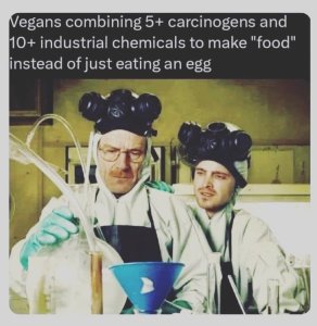 vegansvegg.thumb.jpg.7d87dcbcf45316a73f649e3b13ade6d9.jpg