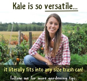 Kaleissoversatile.thumb.jpg.48f11d5243cbe9881978275c7784a140.jpg