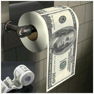 dollarbilltoiletpaper.thumb.jpg.f0741e6df4b76b5623085ec0ec62d792.jpg