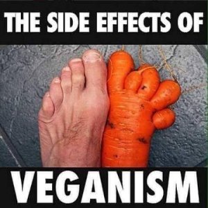 veganism.thumb.jpg.00c271f82c4a5e5e5b551729f0f02589.jpg