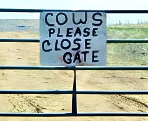 cowclosegate.thumb.jpg.c1ab688a5ae27d760aca3d142c0a7234.jpg