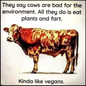 likevegans.thumb.jpg.8f4e2dd7d7311000b6814a0c0b9ac58a.jpg
