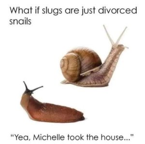 divorcedsnails.thumb.jpg.454f31a70165dda1287ebd54b73c9edc.jpg