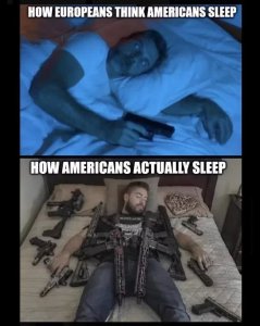howamericanssleep.thumb.jpg.fd7671245c019505e36706195da875db.jpg