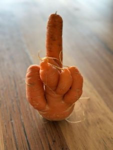 rudecarrot.thumb.jpg.47d6ece710c33f4106d9966bc59a3b5c.jpg