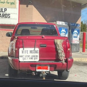 wifemissing.thumb.jpg.29913b7dd2e645312bef25c7e0ba8a83.jpg