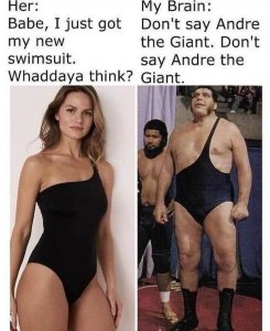 AndretheGiant.thumb.jpg.84b620bd3894a5a7263bdbffd06533f5.jpg