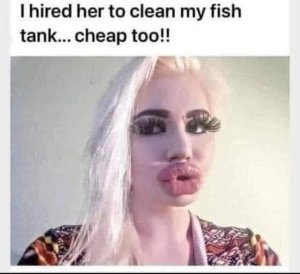 cleanfishtank.thumb.jpg.8c24757cda2a63d8e56d6bf732ad3695.jpg