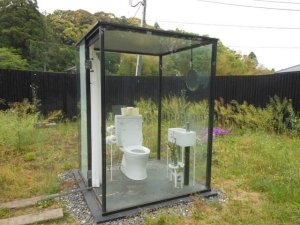 cleartoilet.thumb.jpg.fe9b02357a18c78858f566f8811e8a45.jpg
